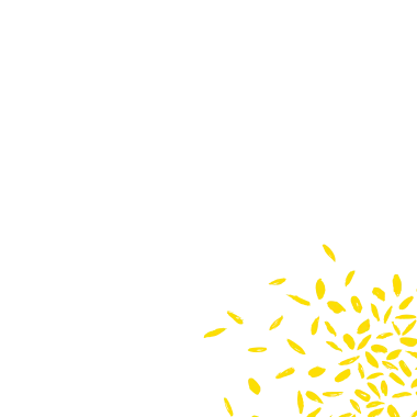 colorbox-lpattern