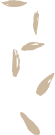 jp-intro-lpattern-mo