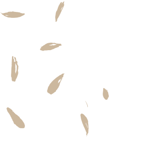 jp-intro-lpattern