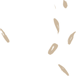 jp-intro-rpattern