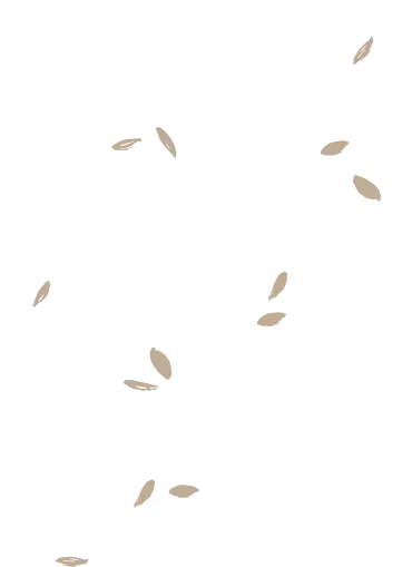 sg-pattern-3