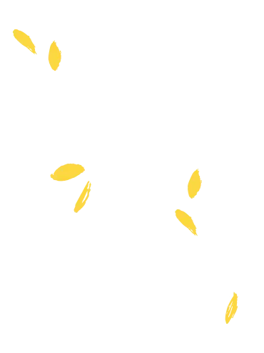 story-left-pattern