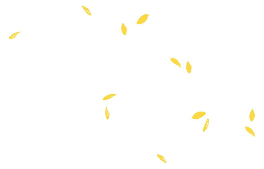 story-right-pattern