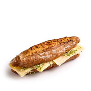 Ein knuspriges Baguette-Sandwich, gefüllt mit Käsescheiben und frischen Sprossen, auf einem weißen Hintergrund.
