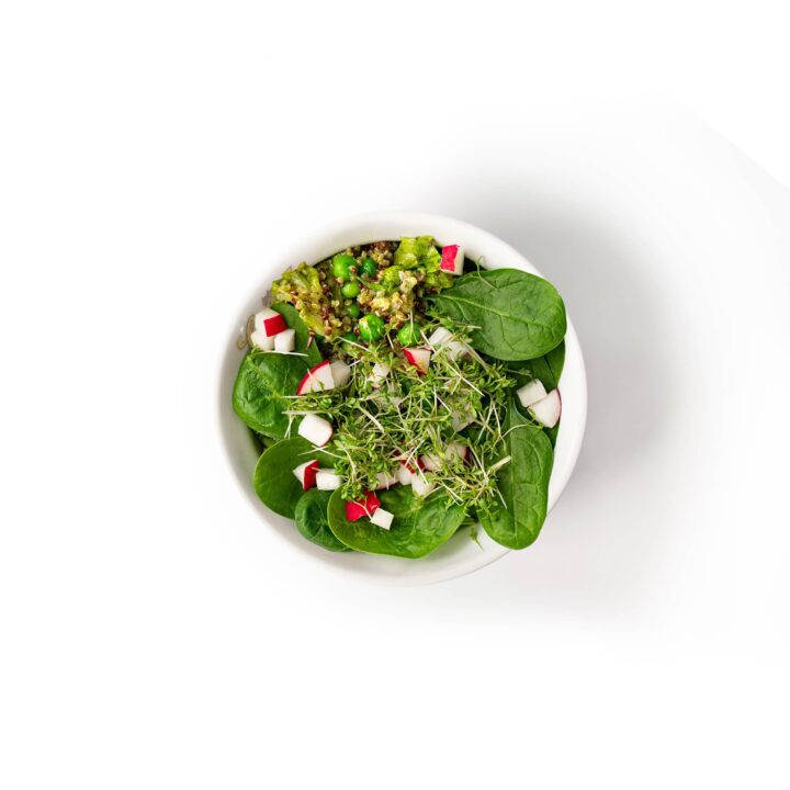 Eine weiße Schale mit frischem Blattspinat, Mikrogrün, gewürfelten Radieschen und einer Kugel Quinoa-Salat, alles auf weißem Hintergrund.