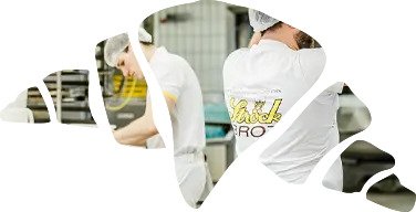 about-info-img-2