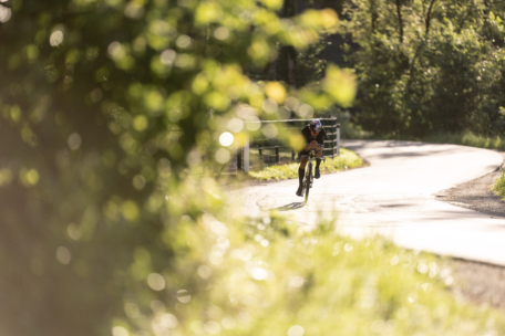 Ein Radfahrer mit Helm fährt allein auf einer kurvenreichen, sonnenbeschienenen Straße, umgeben von üppigem Grün und Bäumen. Der Vordergrund ist mit Blättern unscharf und hebt den Radfahrer in der Ferne hervor.