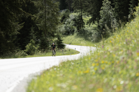 Ein Radfahrer fährt an einem sonnigen Tag allein auf einer kurvenreichen Straße durch einen üppigen, grünen Wald mit hohen Bäumen und Wildblumen.