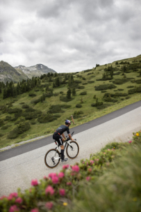 Ein Radfahrer fährt auf einer kurvenreichen Bergstraße bergauf, umgeben von grünen Hügeln, vereinzelten Bäumen und rosa Wildblumen im Vordergrund unter einem bewölkten Himmel.