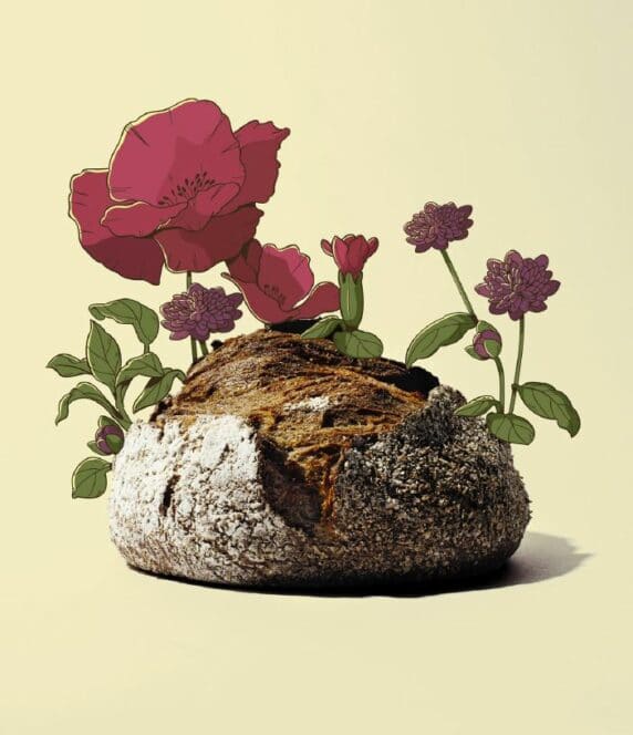 Auf einer hellen Fläche liegt ein rustikaler runder Brotlaib, hinter dem und um den herum illustrierte rosa und violette Blumen und grüne Blätter zu wachsen scheinen.