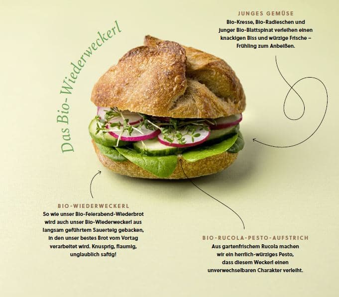 Ein Sandwich auf einem rustikalen Brötchen, gefüllt mit geschnittenen Radieschen, Gurken, Avocado, Blattgemüse und grünem Pestoaufstrich, mit kommentiertem deutschen Text, der jede frische, biologische Zutat auf hellgelbem Hintergrund beschreibt.