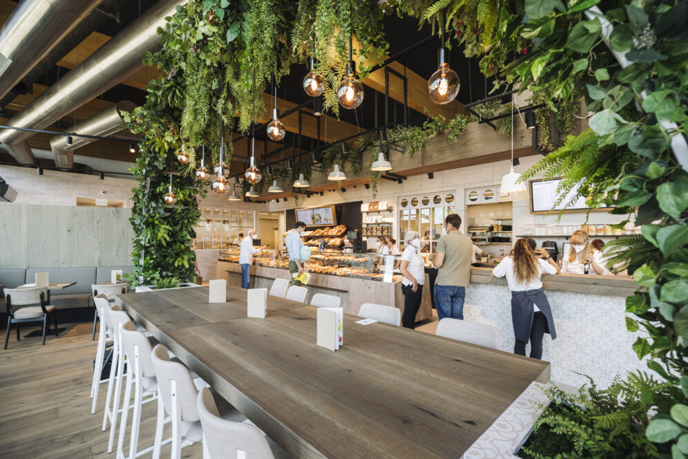 Modernes Café mit üppigen Grünpflanzen, die von der Decke hängen, Holztischen und -stühlen, Bestellungen am Tresen und warmer Hängebeleuchtung, die eine gemütliche, einladende Atmosphäre schafft.