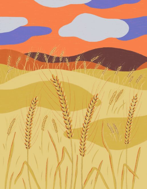 Illustration eines Weizenfeldes mit hohen goldenen Halmen im Vordergrund, sanften gelben Hügeln in der Mitte und violetten Bergen unter einem orangefarbenen Himmel mit blauen und weißen Wolken.