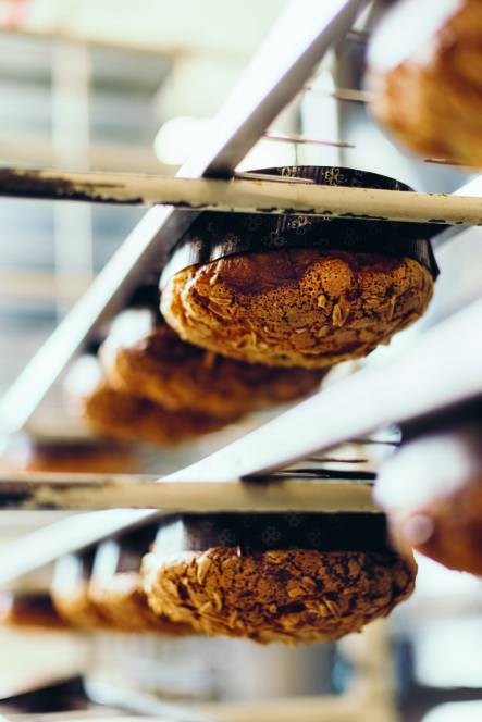 Reihen von runden Broten mit strukturierten, knusprigen Oberseiten kühlen auf Metallgestellen in einer Bäckerei ab, wobei ein weicher, verschwommener Hintergrund eine warme, geschäftige Umgebung suggeriert.