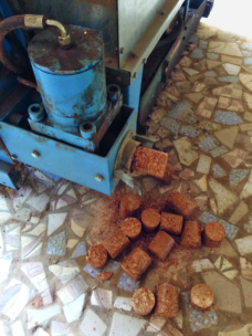 Eine Maschine extrudiert zylindrische braune Pellets auf einen gefliesten Boden, auf dem einige Pellets verstreut sind und etwas Holzstaub zu sehen ist. Die Maschine sieht industriell aus und ist blau gestrichen.