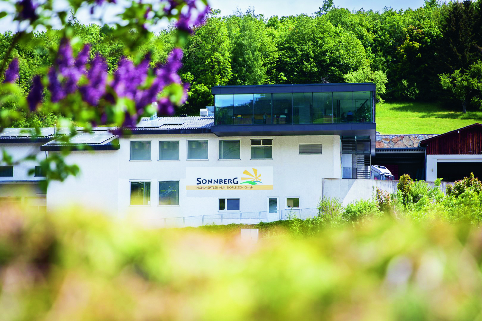 Ein modernes weißes Gebäude mit großen Glasfenstern und einem Sonnberg-Schild auf der Vorderseite, inmitten von üppigem Grün und Bäumen, mit lila Blumen im Vordergrund.