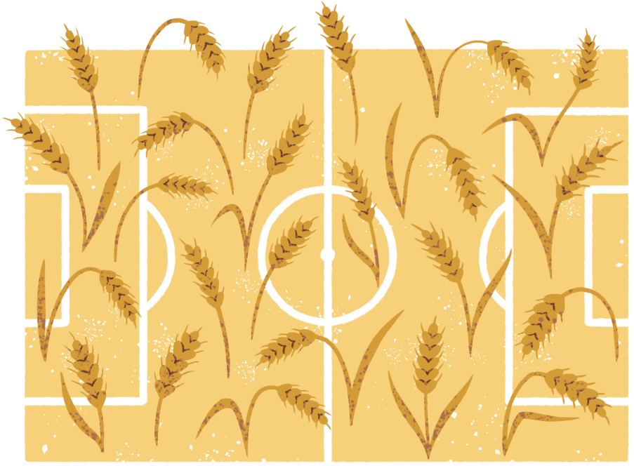 Die Illustration eines Fußballfeldes mit hohen, goldenen Weizenhalmen, die über das Spielfeld wachsen, vermischt Elemente der Landwirtschaft und des Sports.