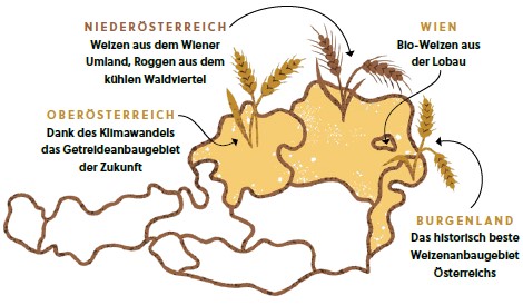 Eine vereinfachte Karte von Österreich hebt die Weizen- und Roggenregionen in Niederösterreich, Wien, Oberösterreich und dem Burgenland hervor, mit Abbildungen von Weizen und deutschem Text, der die Getreideproduktion jeder Region beschreibt.