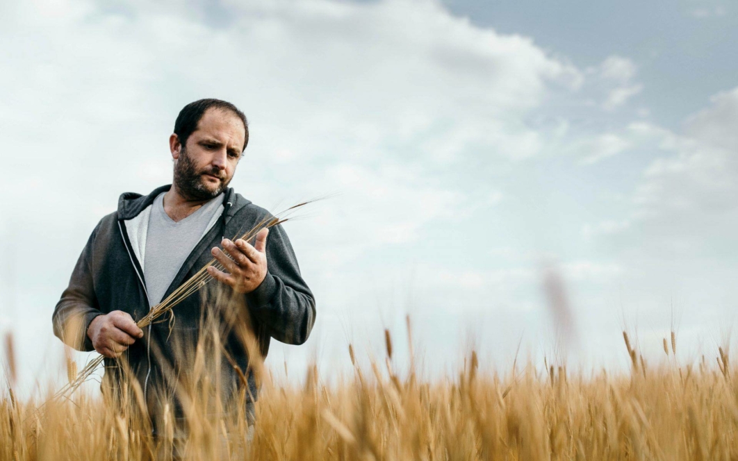 Ein Mann steht in einem Weizenfeld und untersucht die Weizenhalme in seiner Hand. Er trägt einen grauen Kapuzenpulli und ein T-Shirt, mit einem bewölkten Himmel im Hintergrund.
