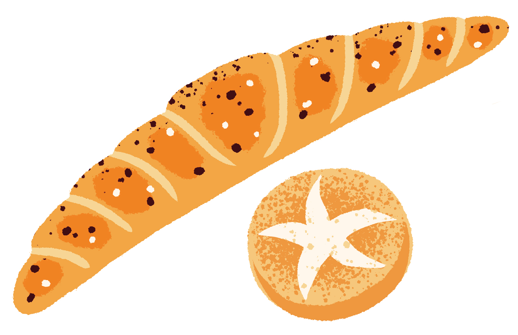 Illustration eines langen, knusprigen, mit Körnern bestreuten Baguettes neben einem runden Laib Brot mit einem sternförmigen Ritzmuster auf der Oberseite, beide auf weißem Hintergrund.