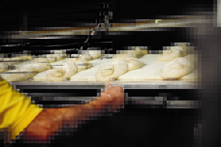 Eine Person in einem gelben Hemd schiebt ein Tablett mit ungebackenen Brotlaiben in einen Ofen. Die Brote sind mit Mehl bestäubt und in Reihen angeordnet, bereit zum Backen.