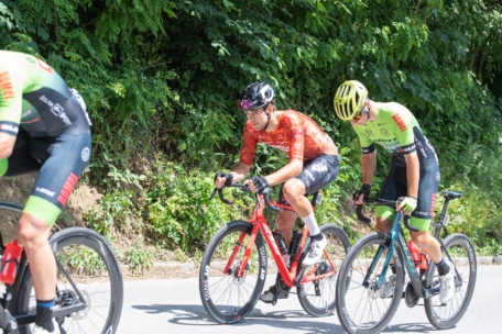Drei Radfahrer in bunten Trikots und Helmen fahren auf einer sonnenbeschienenen Straße neben dichtem grünen Laub, konzentriert und über den Lenker gebeugt, während sie bergauf rasen.