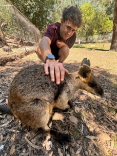 Ein junger Mann hockt sich hin und streichelt sanft ein braunes Känguru in einem sonnigen, eingezäunten Bereich mit Bäumen und trockenen Blättern auf dem Boden.