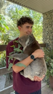 Ein junger Mann, der lächelnd einen Koala auf dem Arm hält, steht im Freien in der Nähe von Grünflächen und einem Holzzaun, während das Sonnenlicht durch die Bäume fällt.