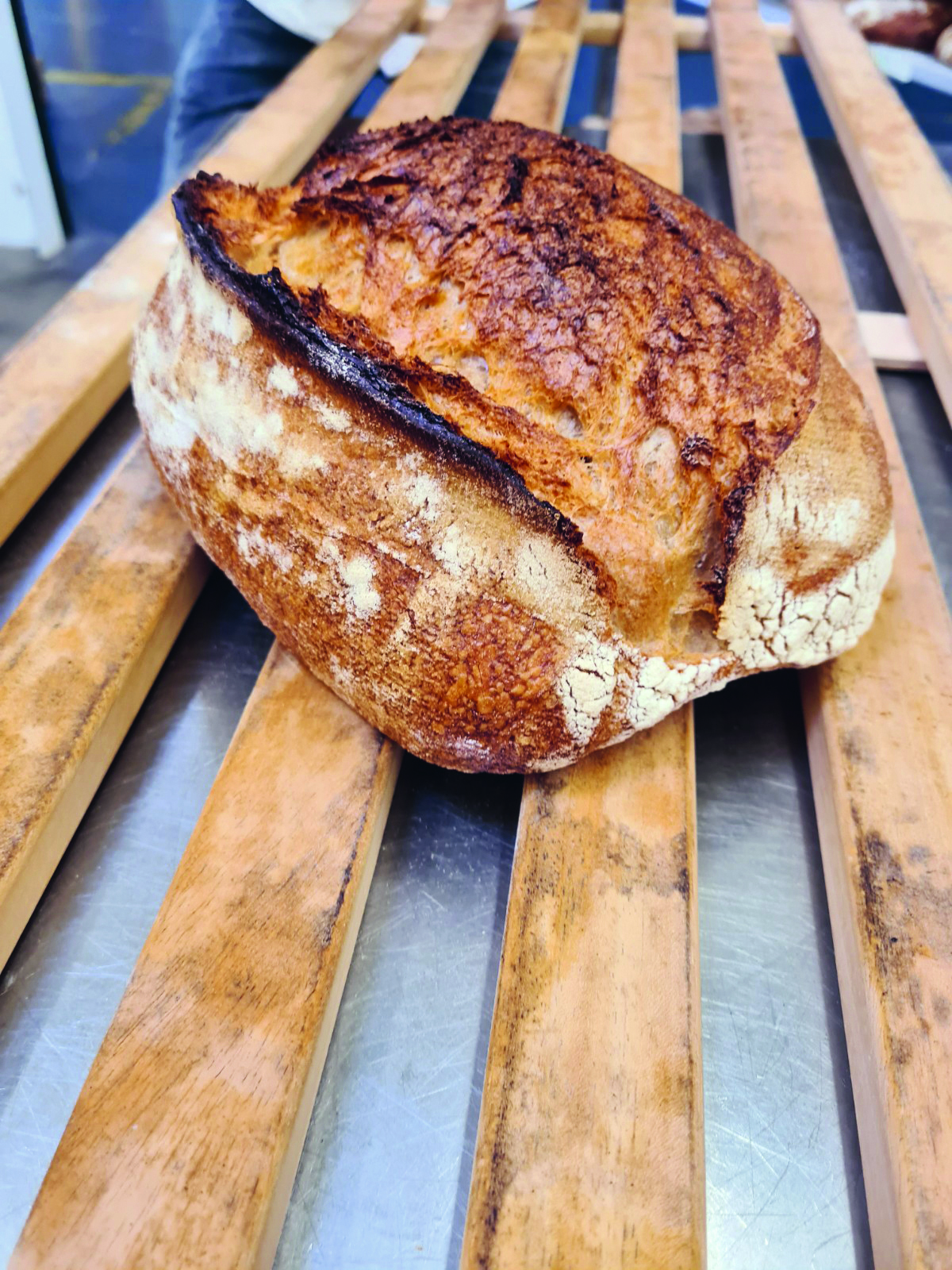 Ein rustikaler Laib Sauerteigbrot mit einer goldenen, knusprigen Kruste liegt auf einem hölzernen Lattenrost und kühlt in einer Bäckerei ab.