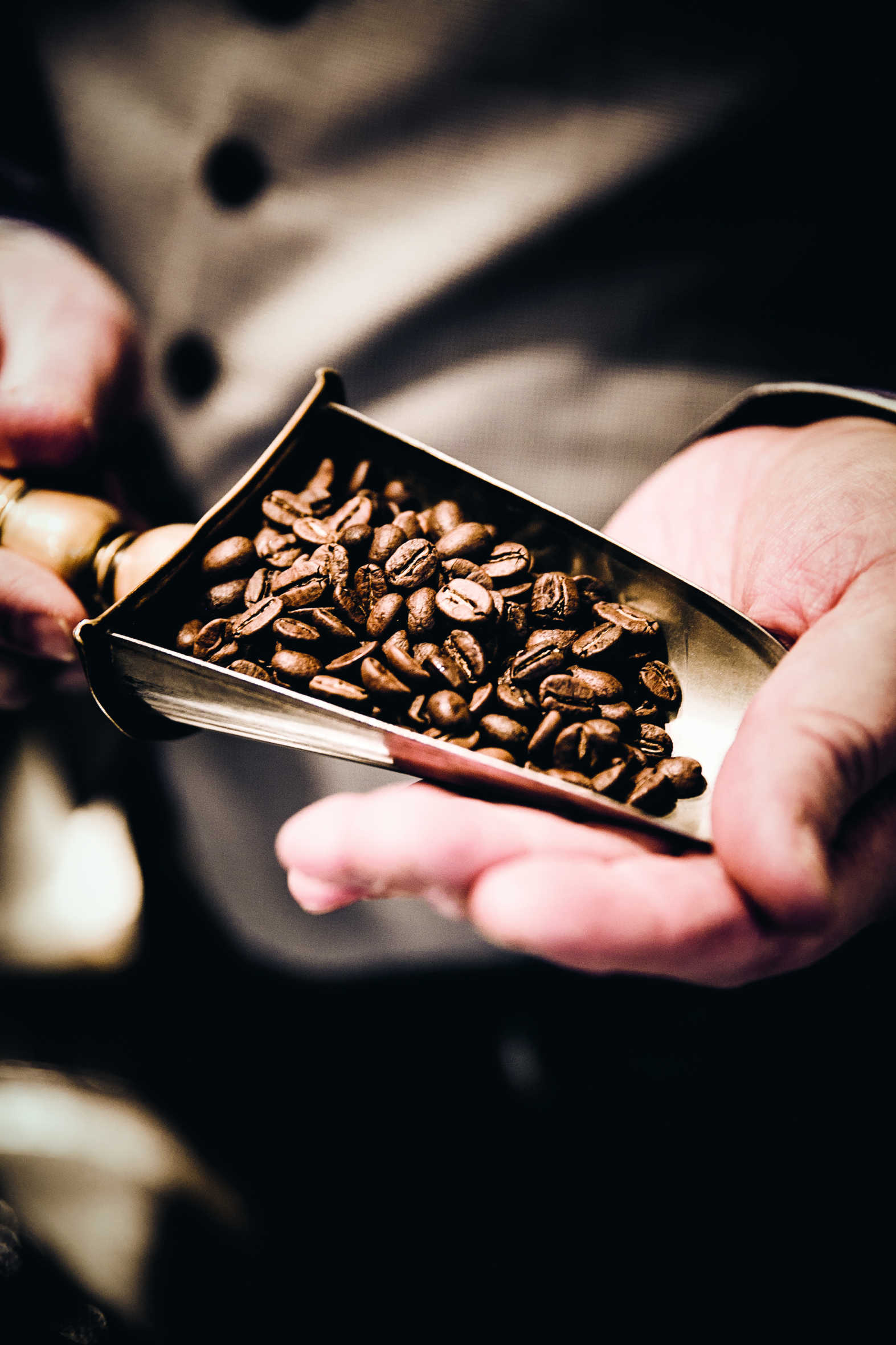 Eine Person hält mit beiden Händen eine Metallschaufel, die mit gerösteten Kaffeebohnen gefüllt ist. Der Hintergrund ist unscharf, um die Aufmerksamkeit auf die Bohnen und die Hände der Person zu lenken.