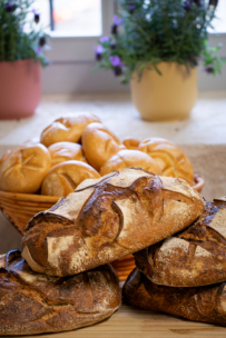 Handwerklich hergestellte, rustikale Brotlaibe, die auf einer hölzernen Unterlage vor einem mit runden Brötchen gefüllten Korb gestapelt sind; im Hintergrund sind Topfblumen und ein Fenster zu sehen.