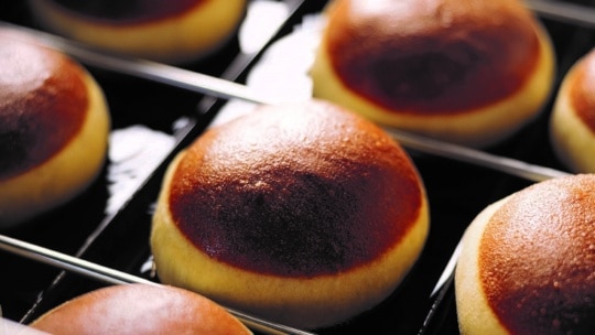 Nahaufnahme mehrerer runder, goldbrauner Brötchen mit dunkler, glänzender Oberfläche, die in Reihen auf einem schwarzen Metallbackblech angeordnet sind.