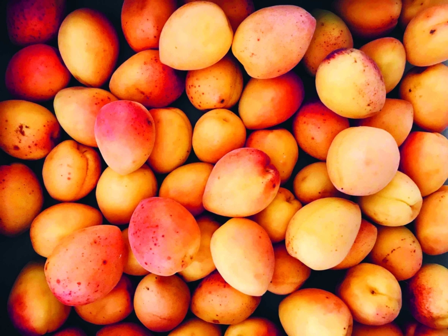 Nahaufnahme eines Stapels frischer Aprikosen mit orangefarbener und gelber Schale, von denen einige rot gefärbt sind und den gesamten Rahmen ausfüllen.