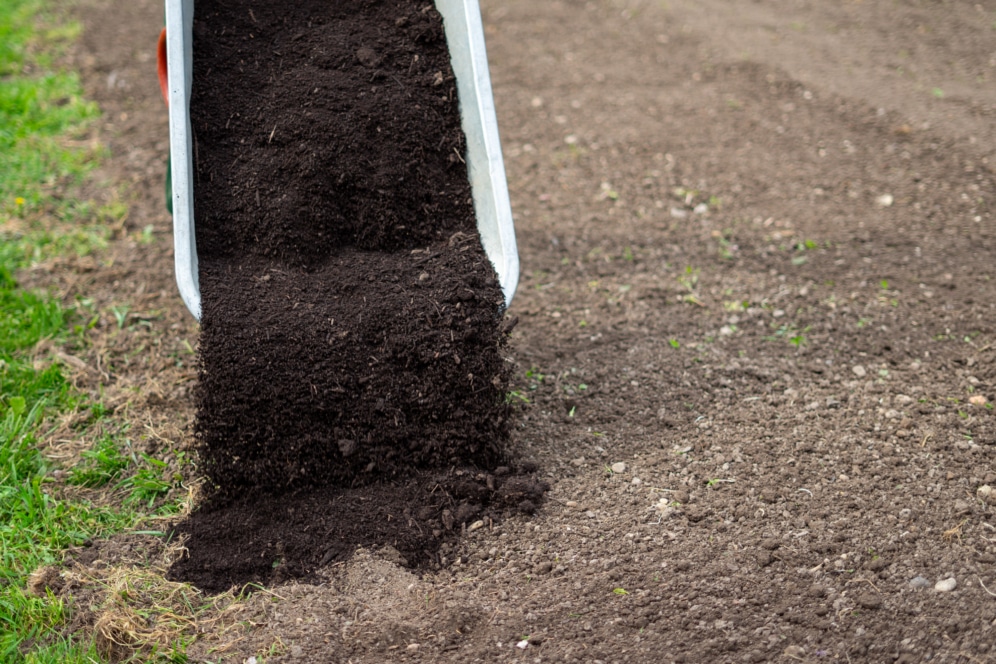 Eine Schubkarre kippt reiche, dunkle Erde auf ein Stück gepflügten Boden neben grünem Gras, wahrscheinlich für Garten- oder Landschaftsbauzwecke.