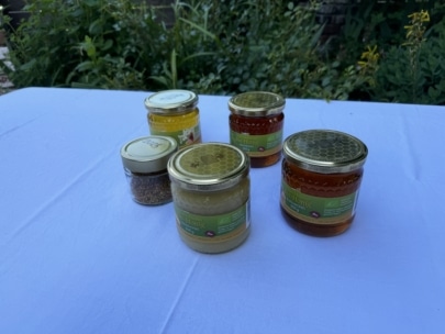 Fünf Gläser mit Honig und Bienenpollen stehen auf einem weißen Tischtuch im Freien, mit grünen Pflanzen im Hintergrund. Die Gläser variieren in Größe, Farbe und Inhalt, einige sind mit flüssigem Honig gefüllt, eines enthält Bienenpollen.