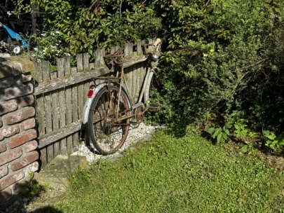 Ein rostiges, verlassenes Fahrrad ohne Reifen lehnt an einem verwitterten Holzzaun, umgeben von grünem Gras, Büschen und partiellem Sonnenlicht in einem Garten.