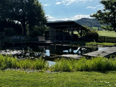 Ein kleiner Teich mit Seerosenblättern wird von Gras und einem hölzernen Steg gesäumt, im Hintergrund stehen ein überdachter Steinunterstand und Bäume unter einem teilweise bewölkten Himmel. In der Ferne sind Hügel und Felder zu sehen.
