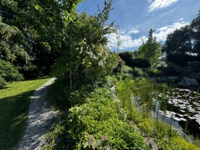 Ein Gartenweg windet sich neben einem üppigen Teich mit Seerosenblättern, umgeben von Grün, blühenden Sträuchern und Bäumen unter einem blauen Himmel mit vereinzelten Wolken.