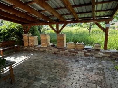 Die hölzernen Bienenstöcke sind auf einer niedrigen Ziegelmauer unter einem hölzernen Unterstand mit Metalldach aufgestellt, der an eine Wiese mit Bäumen angrenzt. Links im schattigen Bereich befindet sich eine Holzbank.