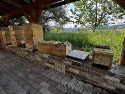 Mehrere hölzerne Bienenstöcke sind auf einer gemauerten Plattform unter einem hölzernen Unterstand angeordnet, wobei im Hintergrund grünes Gras und Bäume zu sehen sind. Der Bereich liegt teilweise im Schatten, und das Wetter scheint sonnig zu sein.