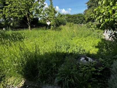 Ein sonnenbeschienener Garten mit überwuchertem Gras und Pflanzen, einem Baum auf der linken Seite und einem kleinen weißen Gebäude im Hintergrund unter einem blauen Himmel mit vereinzelten Wolken. Schatten bedecken den Vordergrund.