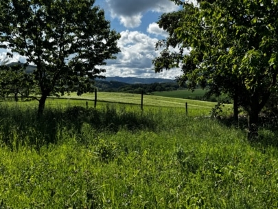 Eine saftig grüne Wiese mit hohem Gras und Wildblumen, begrenzt durch einen Holzzaun und Bäume, unter einem teilweise bewölkten Himmel mit Hügeln in der Ferne. Das Sonnenlicht erzeugt Licht- und Schattenflecken.