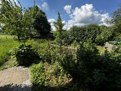 Ein üppiger grüner Garten mit verschiedenen Sträuchern, Bäumen und einem kleinen Holzzaun, unter einem strahlend blauen Himmel mit vereinzelten weißen Wolken. Ein Steinweg führt von der linken Seite in den Garten.