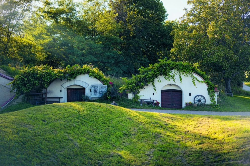 Zwei kleine, in grasbewachsene Hänge gebaute Häuser mit runden Türen und mit grünen Ranken bedeckten Dächern, umgeben von Bäumen und Sonnenlicht. Die Szene ist friedlich und üppig und erinnert an ein Märchen oder eine Hobbit-Behausung.