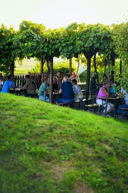 Die Menschen sitzen an Holztischen unter einer begrünten Pergola und genießen an einem sonnigen Tag Speisen und Getränke im Freien. Das Gras ist grün und üppig, und die Umgebung wirkt entspannt und gesellig.