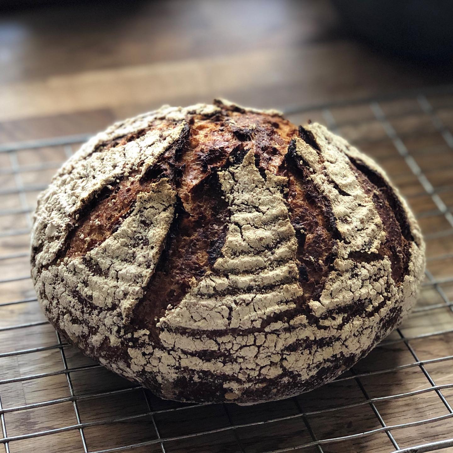 Ein runder Laib rustikales Sauerteigbrot mit einer dunklen, knusprigen Außenseite und dekorativen Einkerbungen liegt auf einem Metallgitter auf einer Holzfläche.