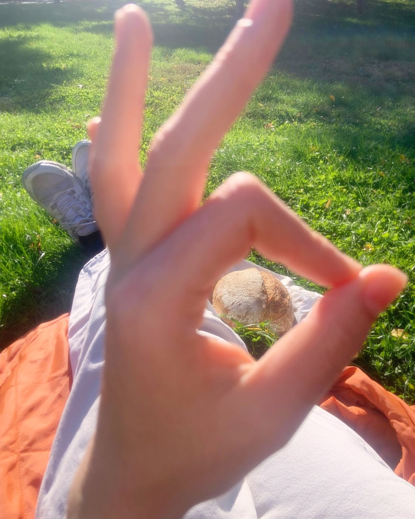 Eine Person sitzt auf Gras mit orangefarbenem Stoff und macht eine OK-Handbewegung im Vordergrund. Ihre Beine sind ausgestreckt, sie trägt eine helle Hose und weiße Schuhe, in deren Nähe ein Brötchen liegt. Das Sonnenlicht erhellt die Szene.