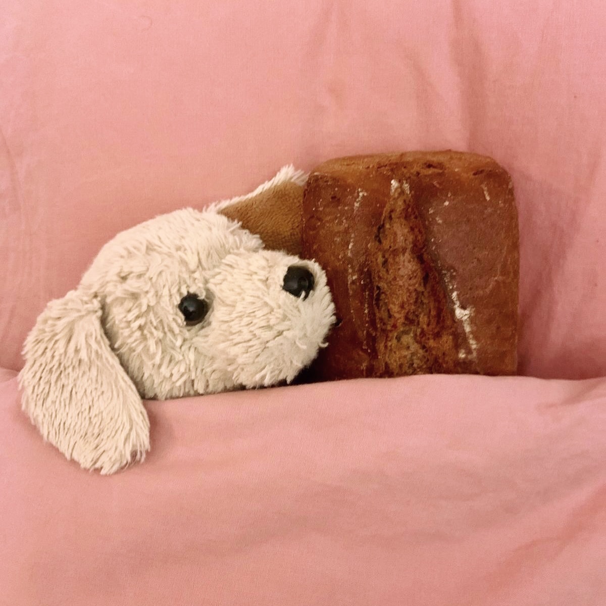 Ein plüschiger weißer Hund und ein kleiner Laib Brot liegen nebeneinander auf einem rosa Bett, das teilweise von einer rosa Decke bedeckt ist.