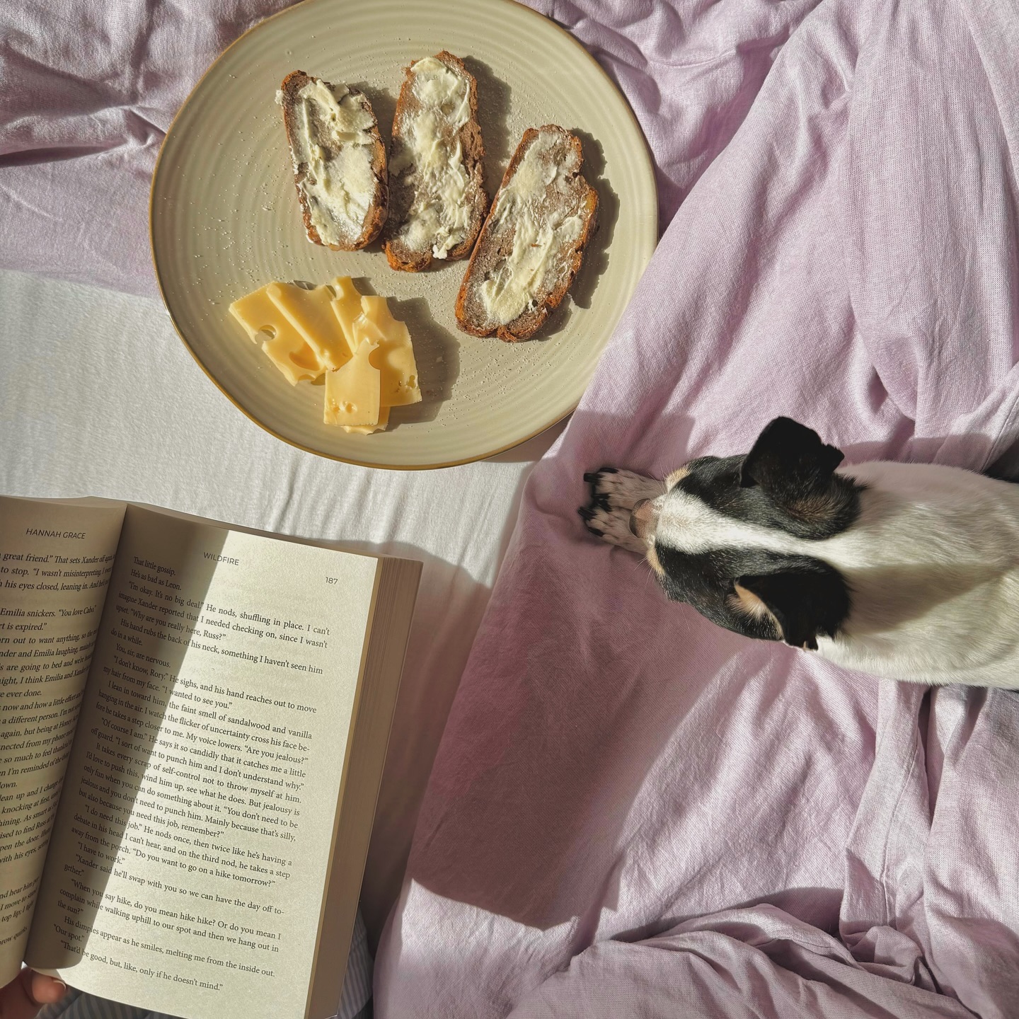 Ein Teller mit drei Scheiben Brot mit Butter und Käsestücken steht auf lilafarbenen Laken. Daneben liest eine Person ein Buch, während ein schwarz-weißer Hund daneben liegt und seine Pfoten in das Sonnenlicht streckt.