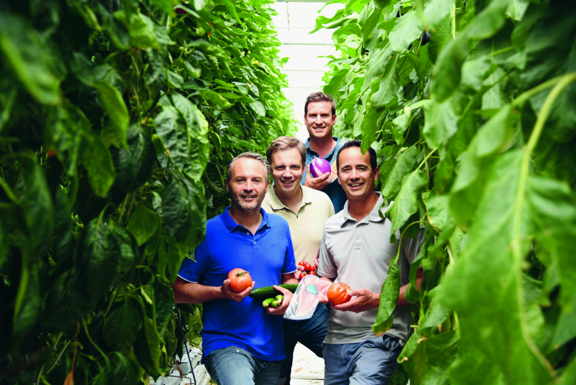 Vier lächelnde Männer stehen in einem üppigen Gewächshaus, umgeben von hohen grünen Pflanzen, und halten frisch geerntetes Gemüse, darunter Tomaten und eine Gurke.